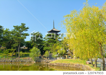 Nara · Kofukuji Nara · Kofukuji 120747933