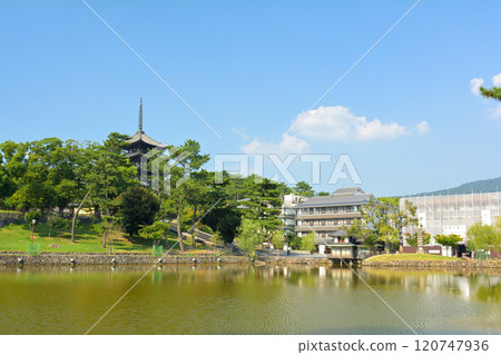 Nara · Kofukuji Nara · Kofukuji 120747936