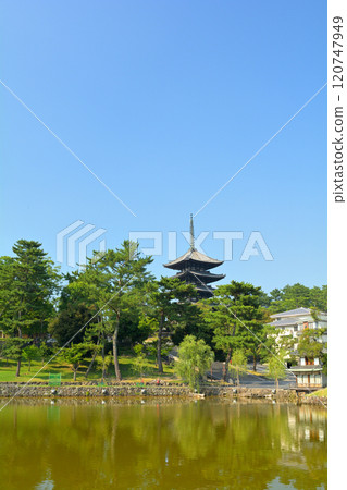 奈良·興福寺 奈良·興福寺 120747949