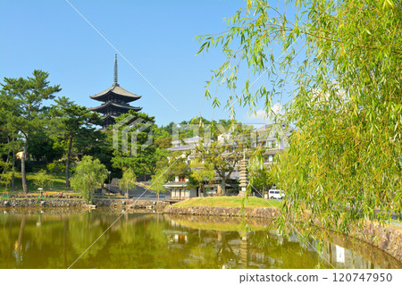 奈良·興福寺 120747950