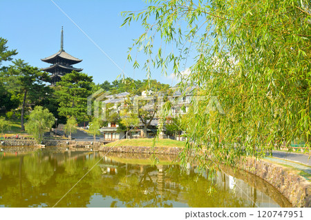 奈良·興福寺 120747951