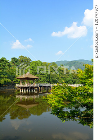 世界遺產·奈良公園 120747977