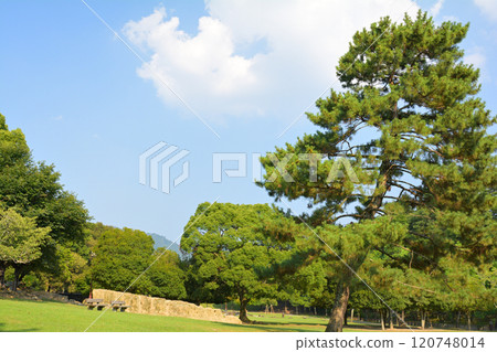 世界遺產·奈良公園 120748014