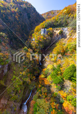 Fukushima City, Fukushima Prefecture: The Bandai-Azuma Skyline connects Takayu Onsen and Tsuchiyu Pass. Autumn foliage at Tsubakuro Valley, where a waterfall flows. 120748041