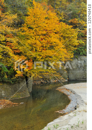 Okumohana山谷 Okumohana山谷 120748418