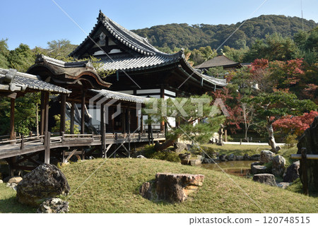 秋天的高台寺：海山堂、觀月台、伊月池（京都市東山區） 120748515