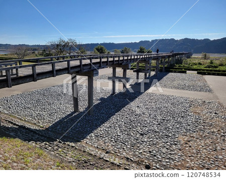大井川蓬萊橋 大井川蓬萊橋 120748534