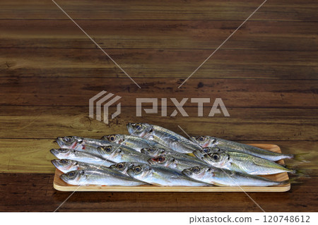 新鮮竹莢魚 新鮮竹莢魚 120748612