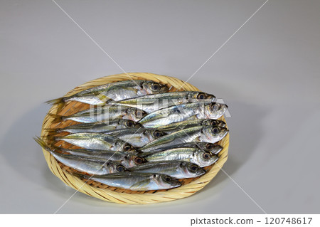 Fresh horse mackerel Fresh horse mackerel 120748617