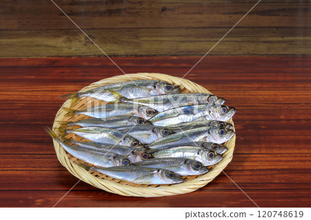 Fresh horse mackerel 120748619