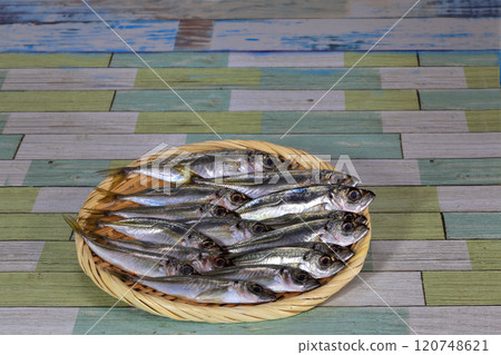Fresh horse mackerel 120748621