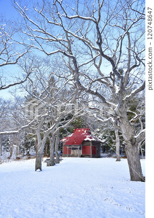 Photographing the snowy scenery at Shukunobe Shrine in Morimachi, Hokkaido in winter 120748647