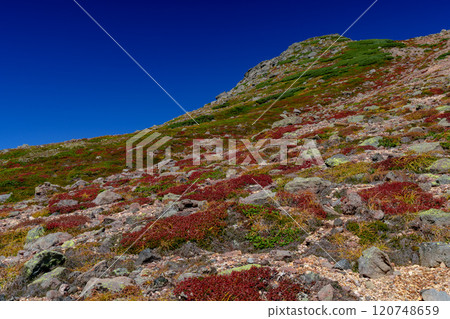 大雪山攀登 - 從旭岳到須砂平平的1圈路線 - 日本紅葉名山100選 - 北海道的絕景 120748659