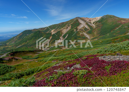大雪山登山愛別山，從旭岳到須杉平的1圈路線，日本紅葉百名山，北海道的絕美景色 120748847
