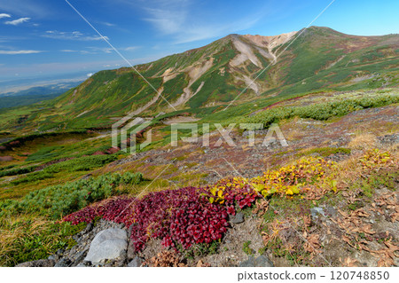 Climbing Mt. Daisetsuzan Aibetsudake Asahidake to Susoaidaira 1-loop course Autumn foliage of Japan's 100 famous mountains A spectacular view of Hokkaido 120748850