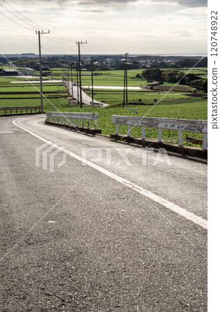 A road passing through a radish field in Miura city A road passing through a radish field in Miura city 120748922
