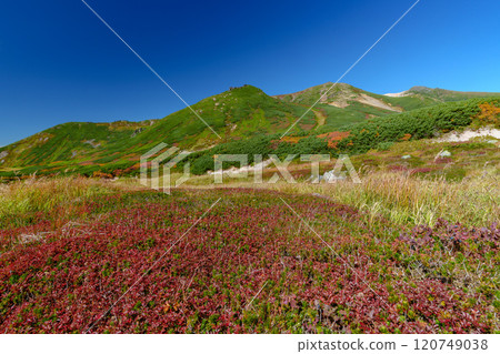 攀登大雪山旭岳、須賀平千古魯瑪、日本紅葉名山百選、北海道絕景 120749038