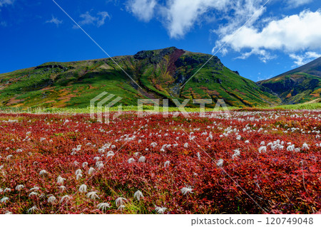 攀登大雪山旭岳、須賀平千古魯瑪、日本紅葉名山百選、北海道絕景 攀登大雪山旭岳、須賀平千古魯瑪、日本紅葉名山百選、北海道絕景 120749048