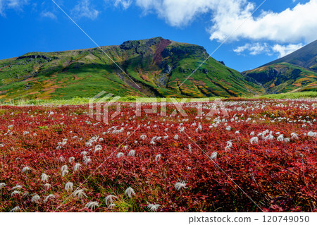 Climbing Mount Asahidake in the Daisetsuzan Mountains: A splendid view of the autumn foliage of the 100 famous mountains in Japan, Hokkaido Climbing Mount Asahidake in the Daisetsuzan Mountains: A splendid view of the autumn foliage of the 100 famous mountains in Japan, Hokkaido 120749050