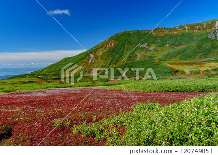Climbing Mount Asahidake in the Daisetsuzan Mountains: A splendid view of the autumn foliage of the 100 famous mountains in Japan, Hokkaido 120749051