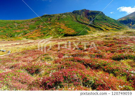 攀登大雪山旭岳、須賀平千古魯瑪、日本紅葉名山百選、北海道絕景 120749059