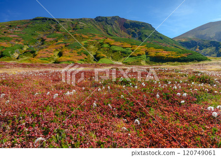 Climbing Mount Asahidake in the Daisetsuzan Mountains: A splendid view of the autumn foliage of the 100 famous mountains in Japan, Hokkaido 120749061