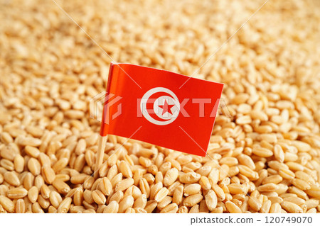 Tunisia and Russia flag on grain wheat, trade export and economy concept. 120749070