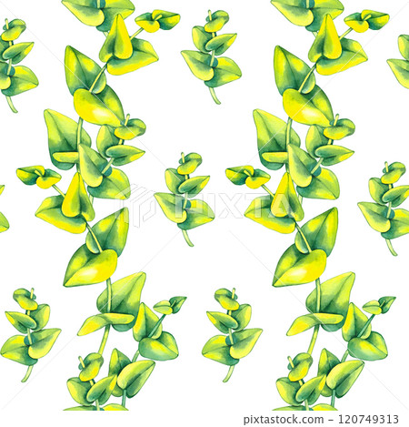 Floral illustration with freesia magnolia and lily Floral illustration with freesia magnolia and lily 120749313