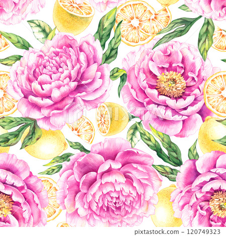 Floral collection hand drawn watercolor illustrations 120749323