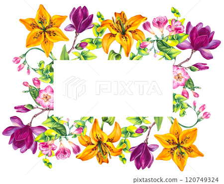 Floral illustration with freesia magnolia and lily 120749324