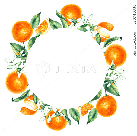 Watercolor orange tropical fruit hand drawn 120749330