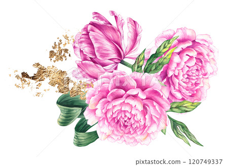Floral collection hand drawn watercolor illustrations Floral collection hand drawn watercolor illustrations 120749337