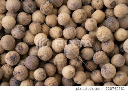 Close up of whole white pepper Close up of whole white pepper 120749381