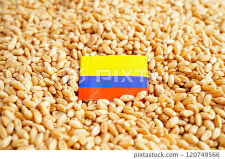 Colombia flag on grain wheat, trade export and economy concept. Colombia flag on grain wheat, trade export and economy concept. 120749566