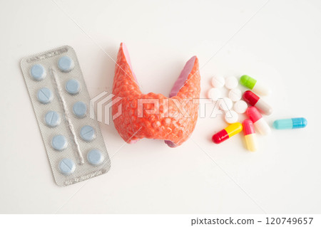 Thyroid model with pill drug treatment, Hyperthyroidism, Overactive or Lymphoma. Thyroid model with pill drug treatment, Hyperthyroidism, Overactive or Lymphoma. 120749657