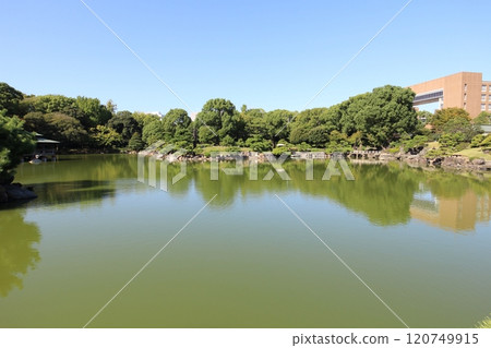 東京清澄花園大泉水（池塘） 120749915