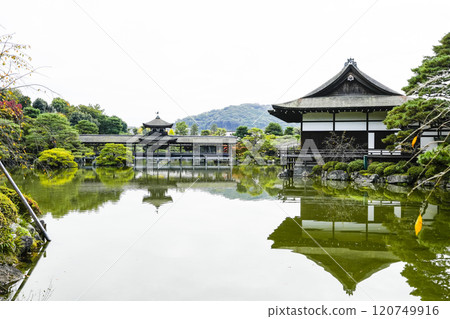 平安神宮（11月）東神園 120749916