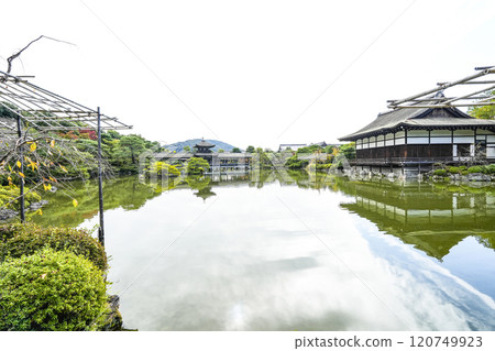 平安神宮(11月)東神園 平安神宮(11月)東神園 120749923