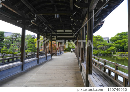 平安神宮（11月）東少年“太平閣” 120749930