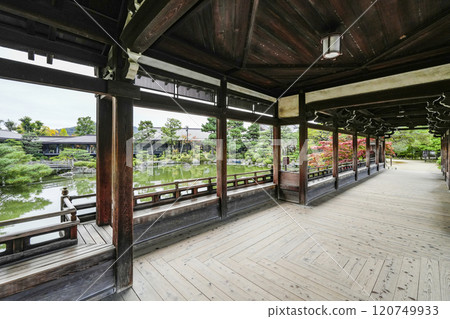 Heian Shrine (November) East Garden "Taiheikaku" 120749933