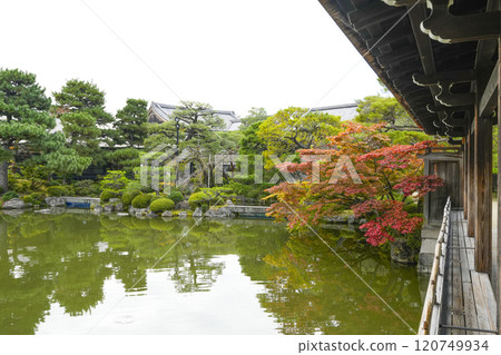 Heian Shrine (November) Higashijinen 120749934