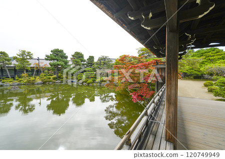 平安神宮（11月）東少年“太平閣” 120749949
