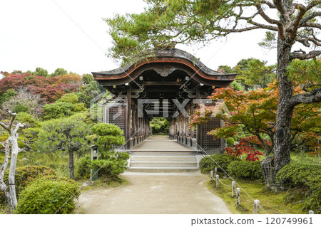 Heian Shrine (November) East Garden "Taiheikaku" 120749961