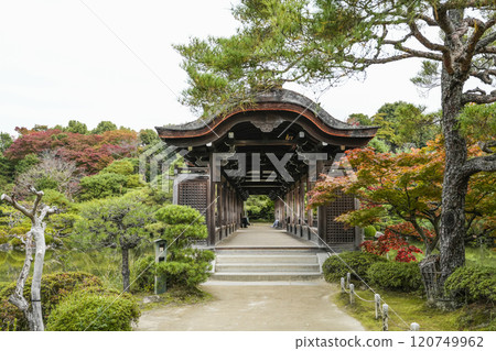 平安神宮（11月）東少年“太平閣” 120749962