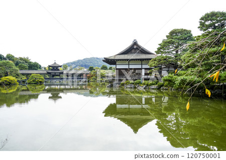 平安神宮（11月）東神園 120750001