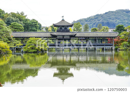 平安神宮（11月）東少年“太平閣” 120750003