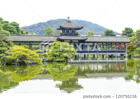 平安神宮（11月）東少年“太平閣” 120750236