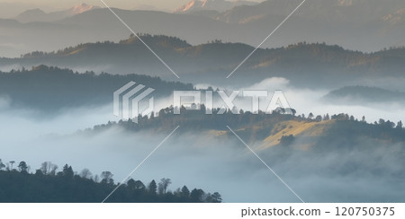 A misty mountain landscape with soft, rolling hills. 120750375