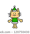 聖誕老人貓綠色 120750430