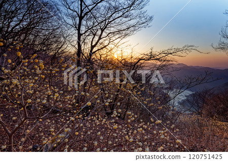 三uma社區和朝日山 120751425